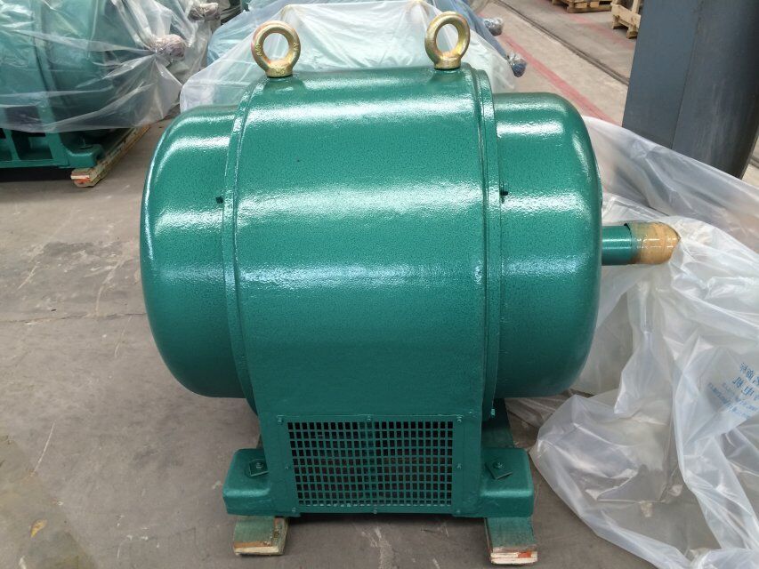 JS148-8 240KW 西瑪6KV電機