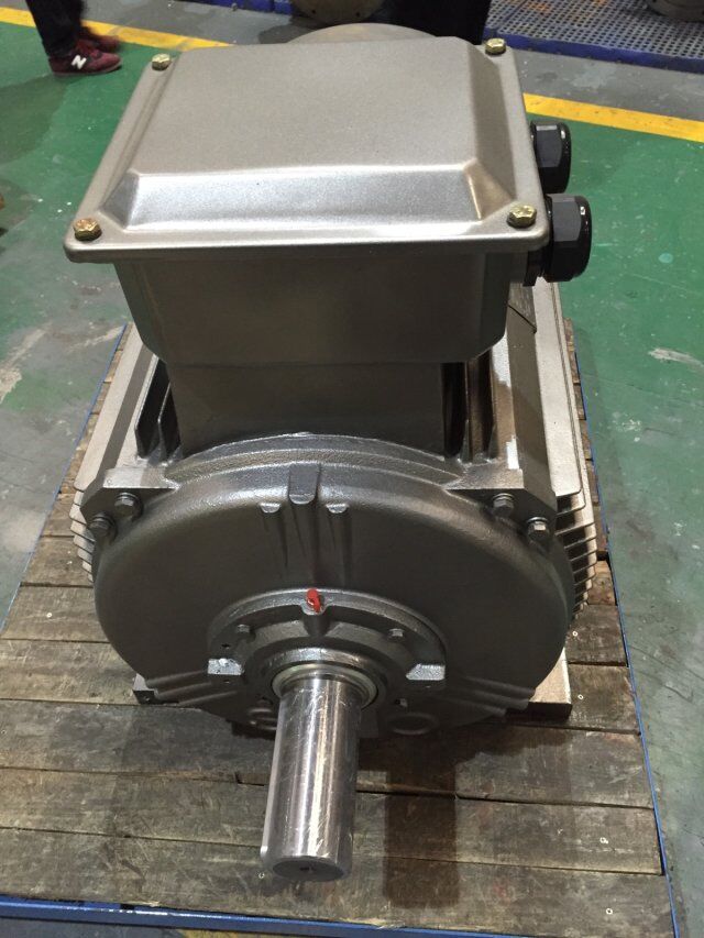 西瑪高效節能電機YE3-3551-2  355KW /380V  B5 立式安裝