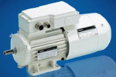 電機的相帶問題以鐵路電機及槽電勢星形圖。